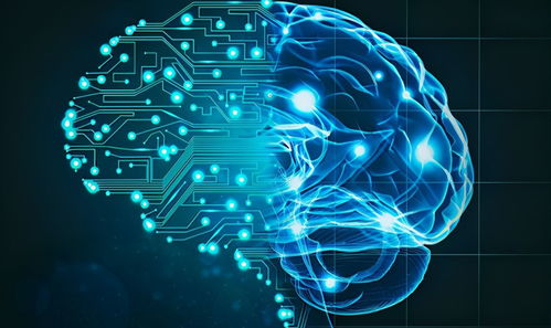 AI模擬生物進化 計算機軟硬件技術開發揭開生命起源新篇章